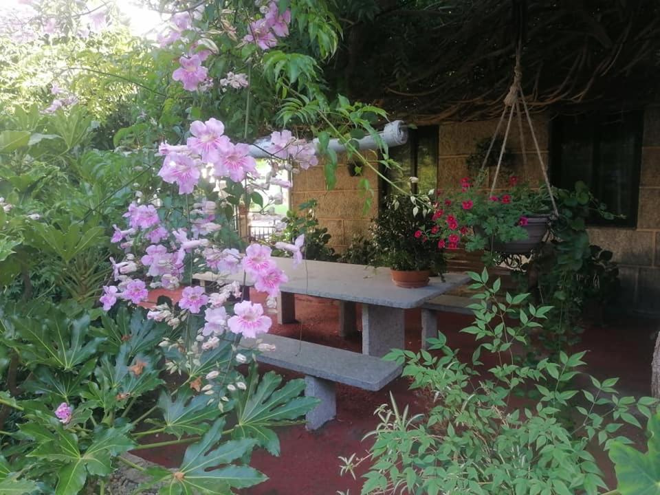 A Casa Da Ponte Holiday home *