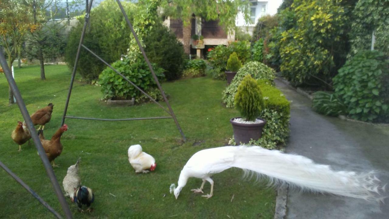 A Casa Da Ponte Holiday home Sanxenxo